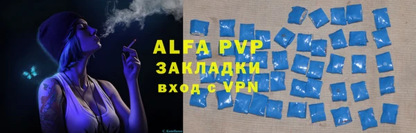 ECSTASY Белокуриха