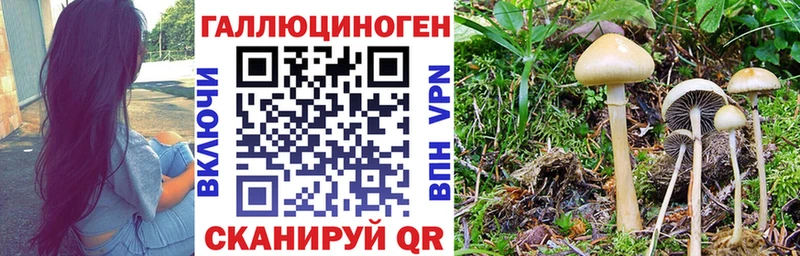 наркотики  площадка формула  Галлюциногенные грибы мицелий  Тула 