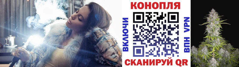 Каннабис планчик  хочу   OMG маркетплейс  мориарти телеграм  Тула 